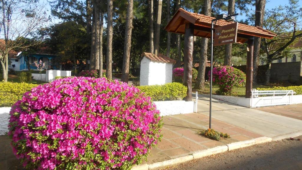 Pousada Pinhal Alto Nova Petropolis Exteriör bild