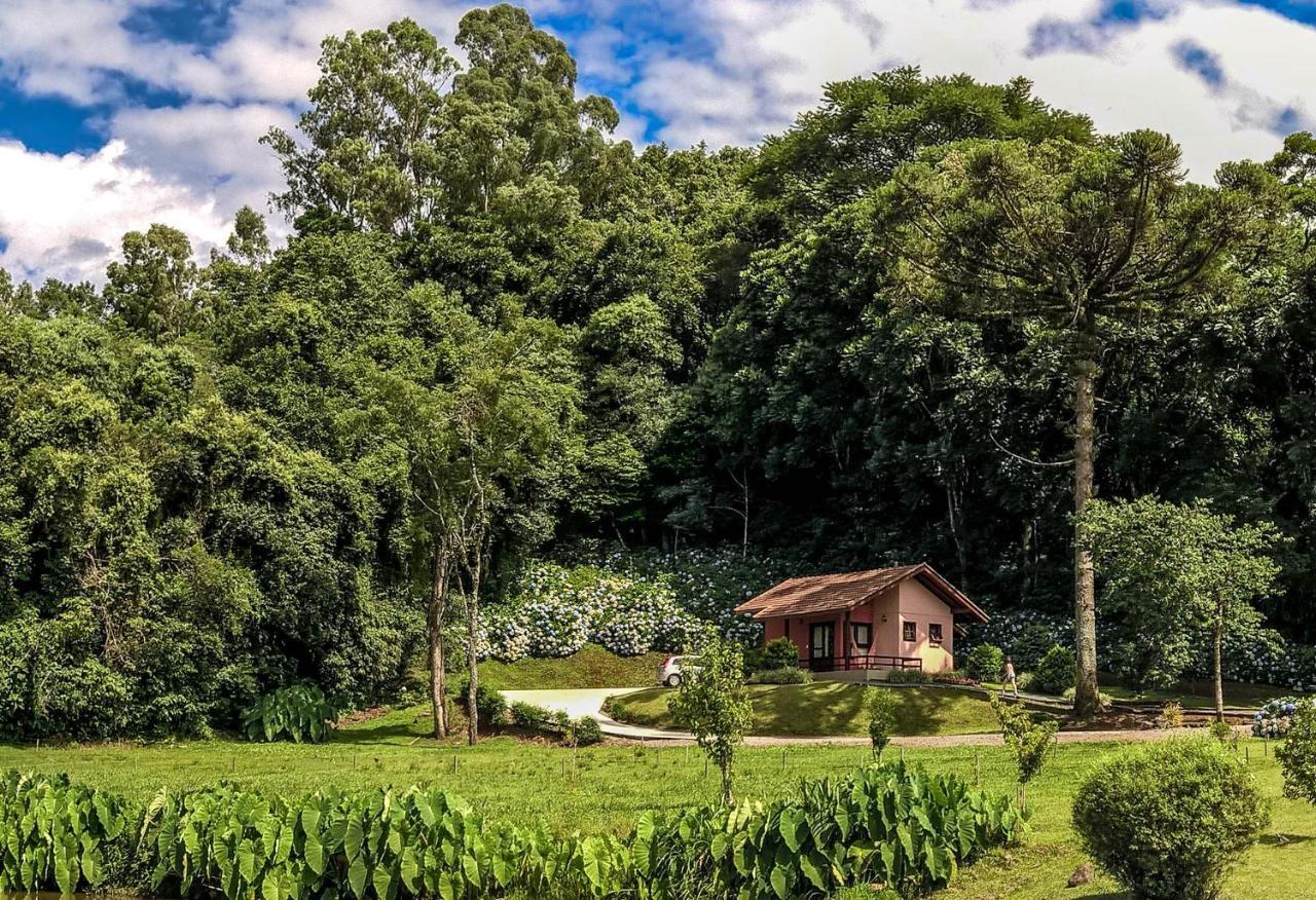 Pousada Pinhal Alto Nova Petropolis Exteriör bild